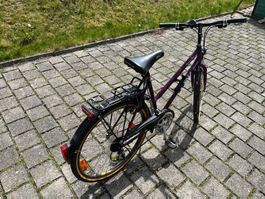 Damen Velo