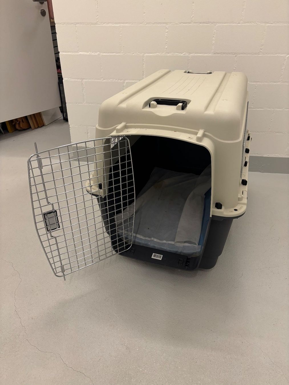 Gabbie, trasporto & Sicurezza: Hundebox – Usato da Pfäffikon ZH venduto da R-Jako