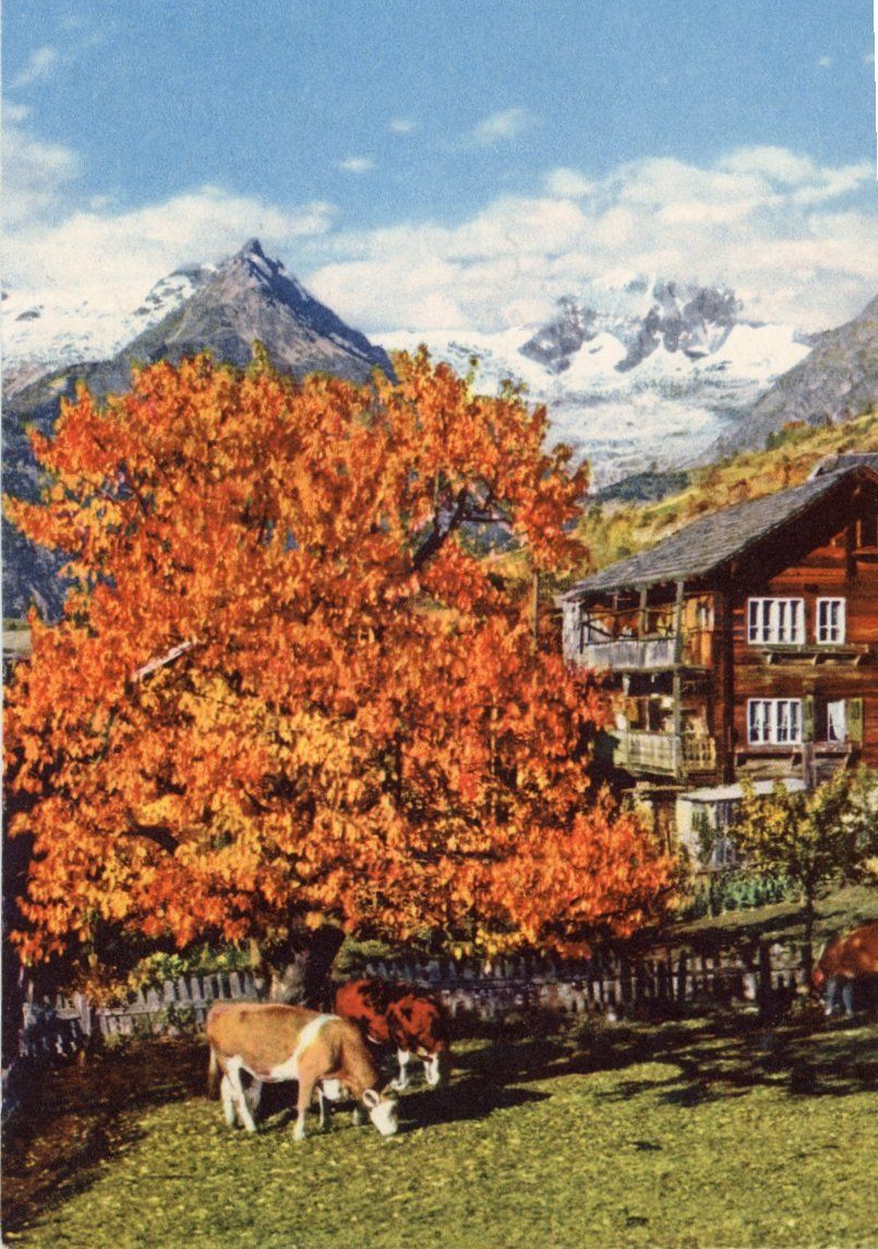 Cartes postales: Bürchen  VS  im Herbst      um 1985 – D'occasion à Brig par Valcards54
