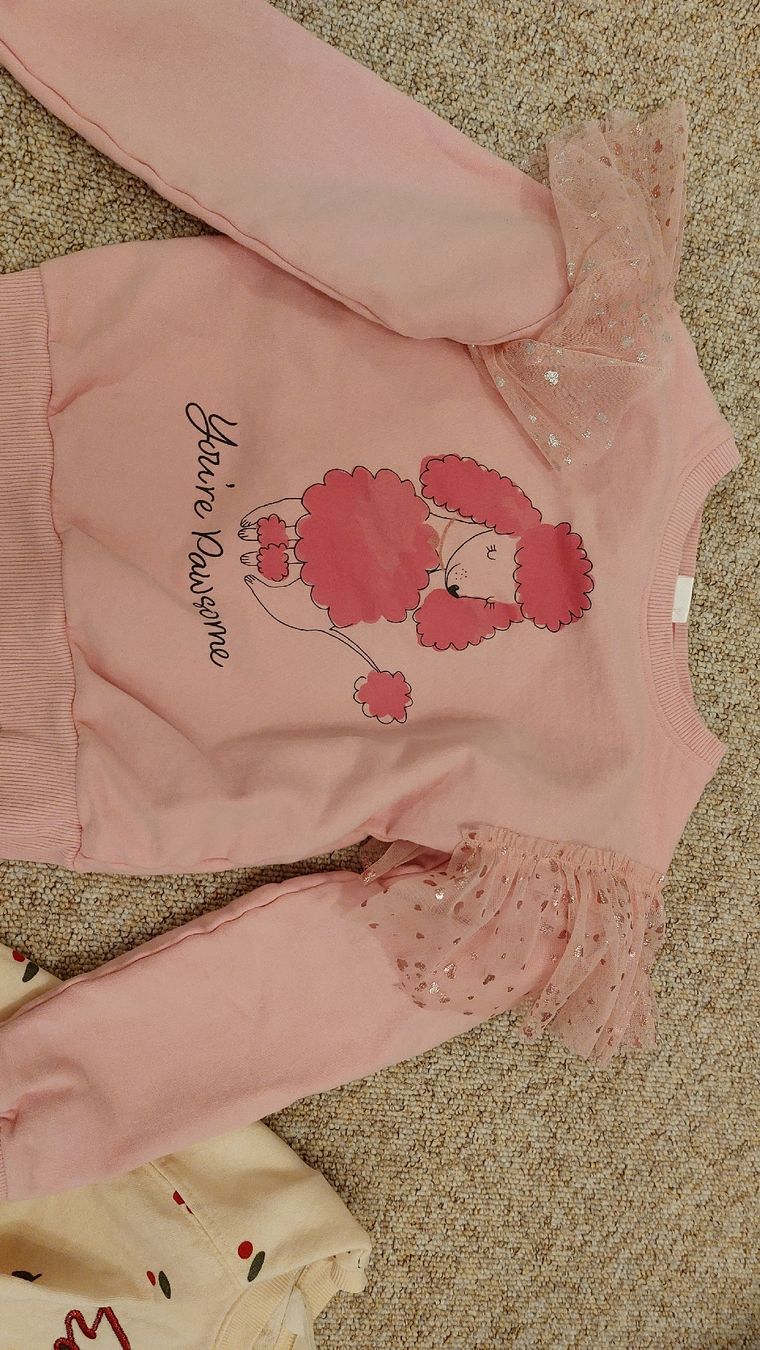 H&M Maglioni & Felpe: Mädchen Pullover Pack – Usato da Davos Platz venduto da anton85 1