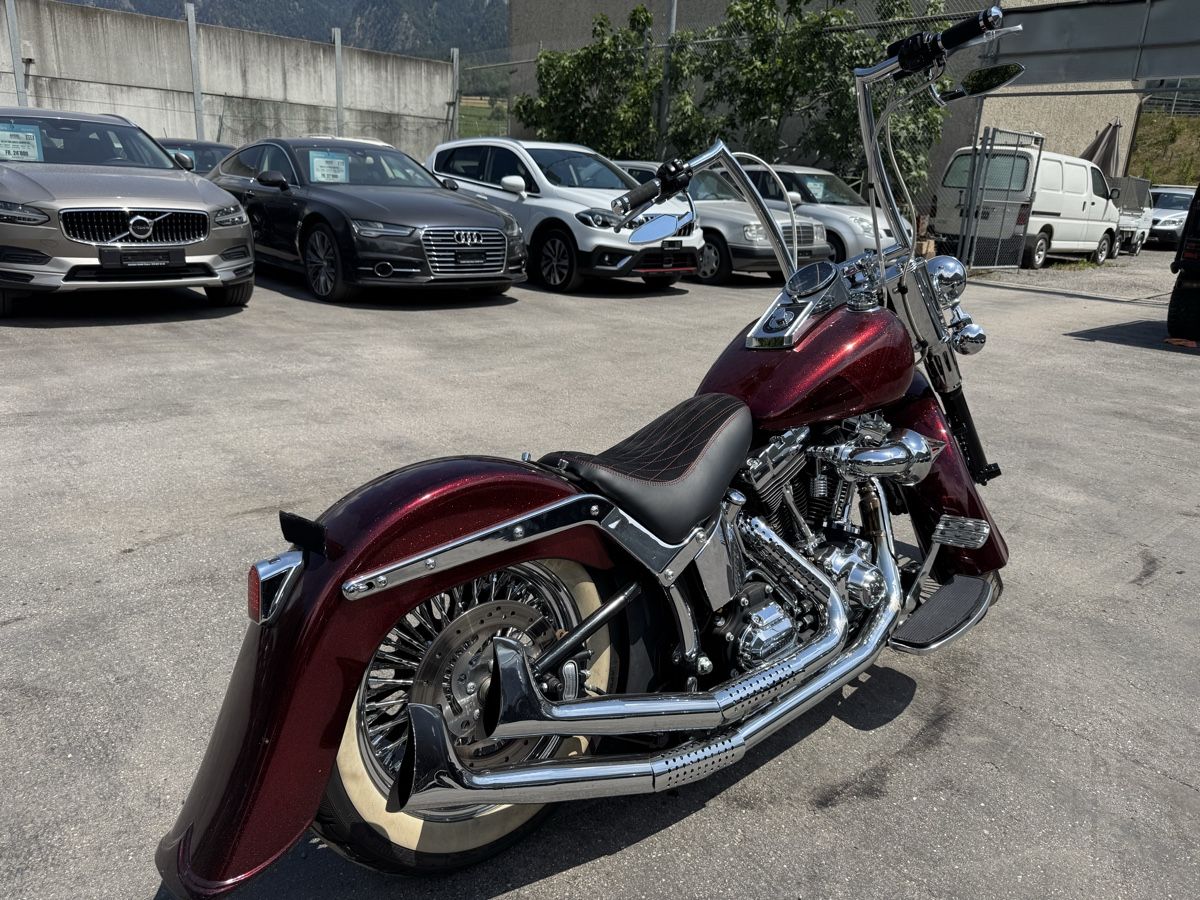Harley-Davidson Cruisers: HARLEY-DAVIDSON FLSTC Softail – D'occasion à Chur par alt_lwl9 2