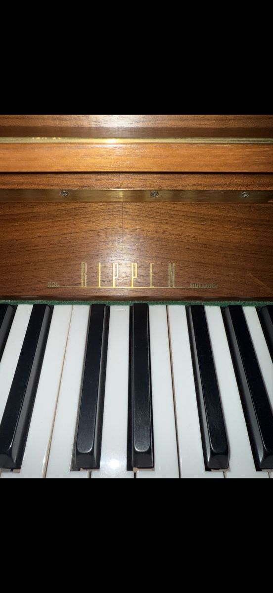 Strumenti musicali: Klavier RIPPEN + Klavierhocker – Usato da Muttenz venduto da Amko85 2
