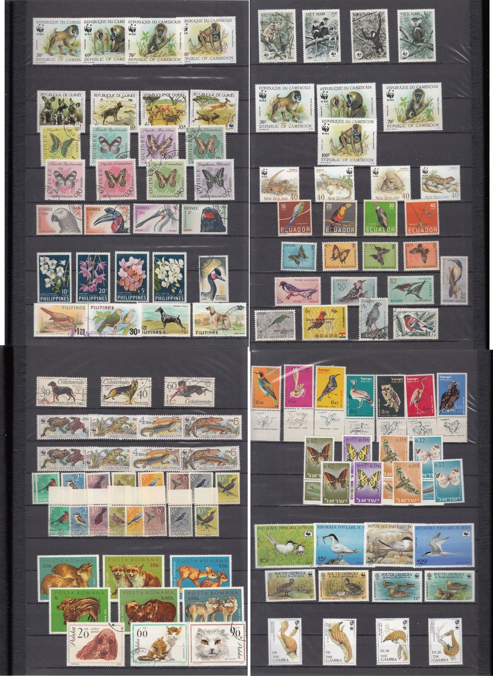 Alle Briefmarken: Motivsammlung Tiere – Gebraucht aus Bürglen TG von StampGraf 5