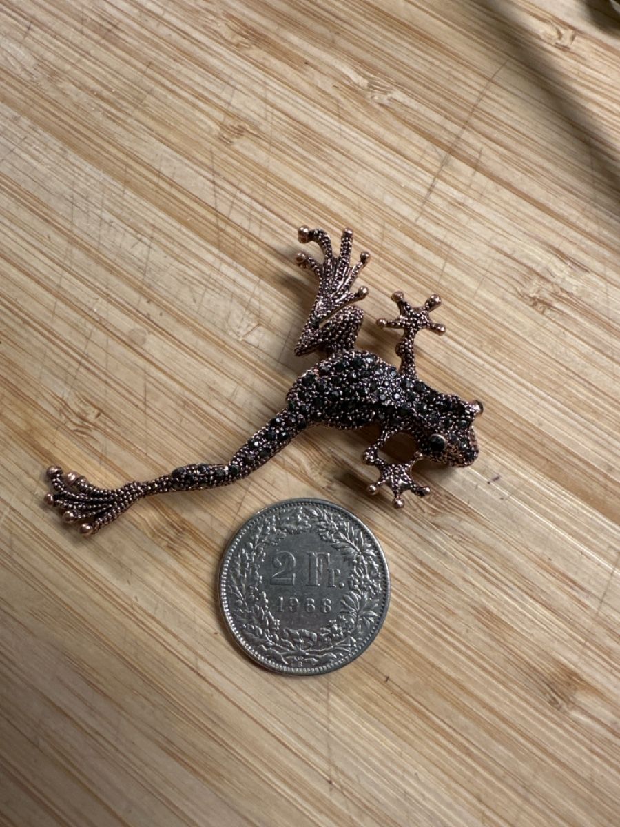 Spille & Fermagli: Frosch Brosche bronce mit Strassteinen – Nuovo (secondo la descrizione) da Trüllikon venduto da angela4444 4