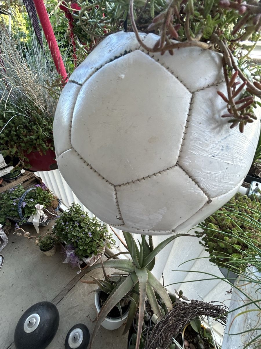 Tutte le decorazioni: Blumenball – Nuovo (secondo la descrizione) da Frauenfeld venduto da Irene.Schuppli 2