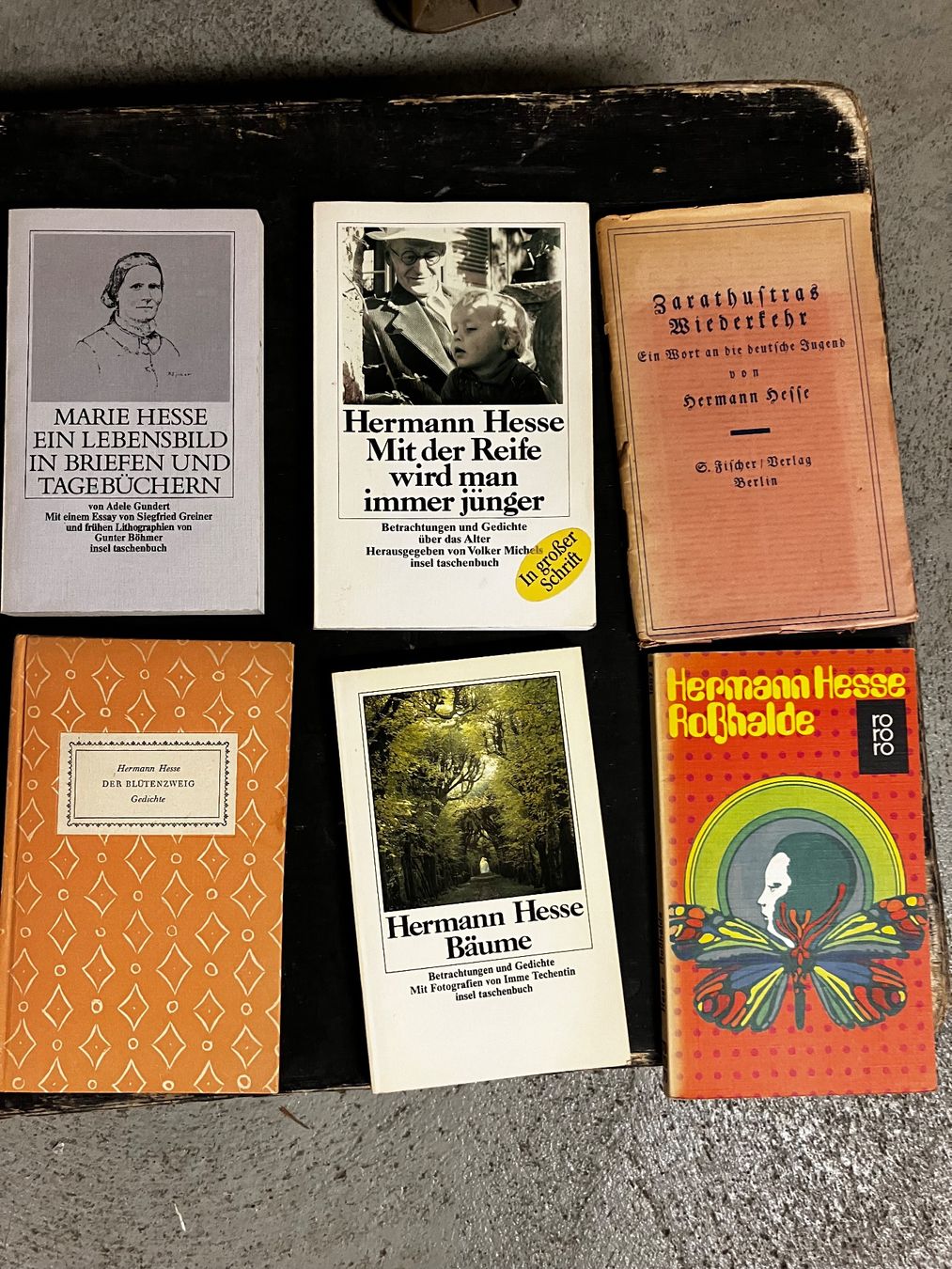 Libri: Bücher über H.Hesse – Usato da Zürich venduto da Ideal0 2