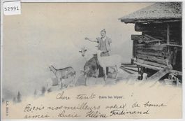 Dans les Alpes - Ziegen chevres