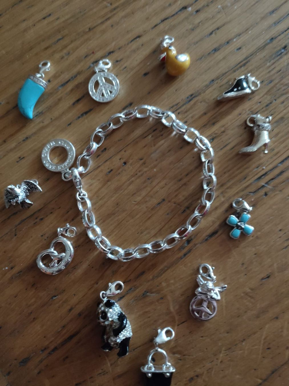 Thomas Sabo Armbänder & -reifen: Thomas Sabo Charmarmband – Gebraucht aus Luzern von Luzern_Energy