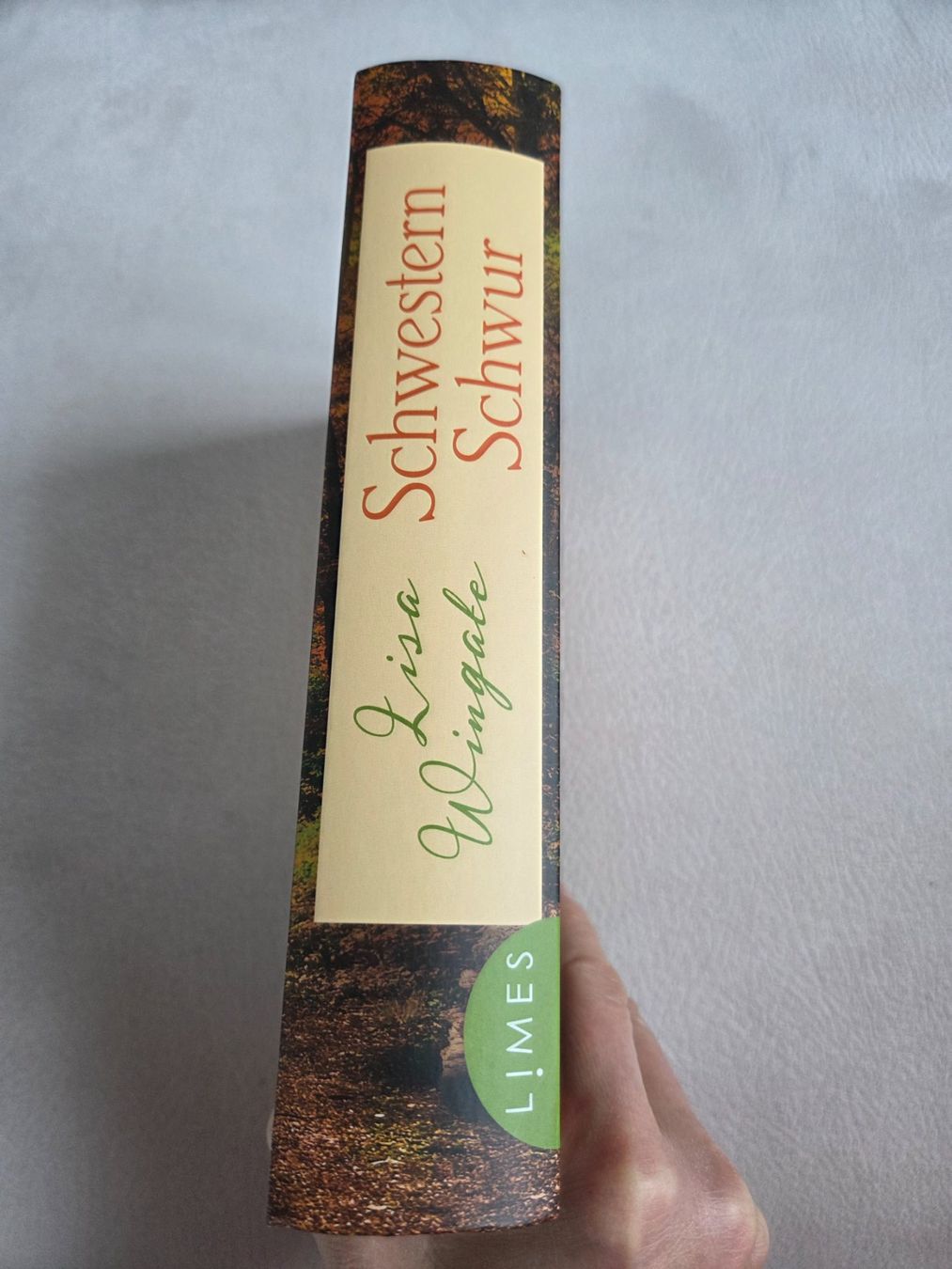 Libri: Lisa Wingate - Schwesternschwur – Usato da Bergdietikon venduto da Tanne_10 2