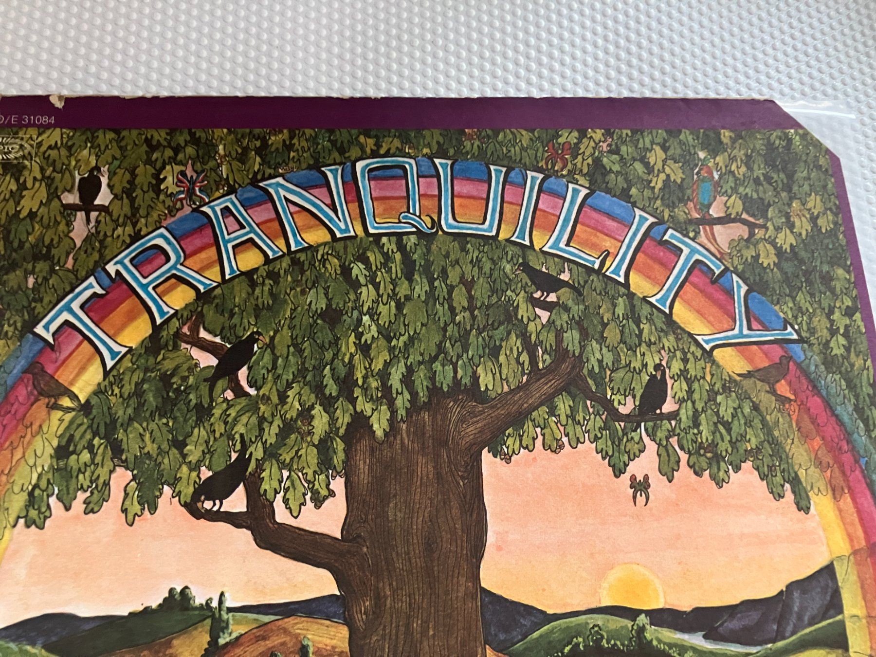 Dischi in vinile: Tranquility – Usato da Aarwangen venduto da Jukebox3 1