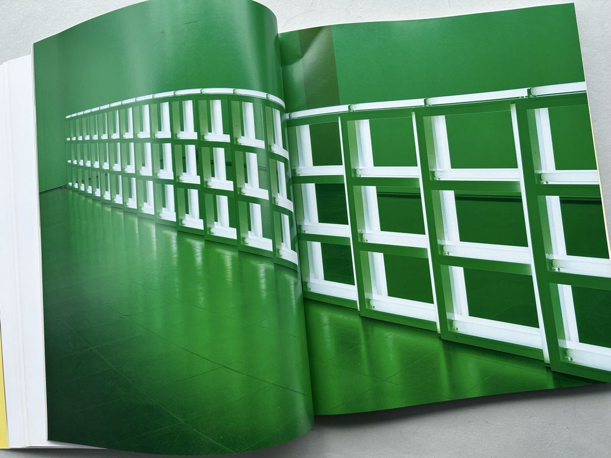 Libri: Dan Flavin A Retrospective Ausstellungskatalog – Usato da Zürich venduto da Coffeetable88 5