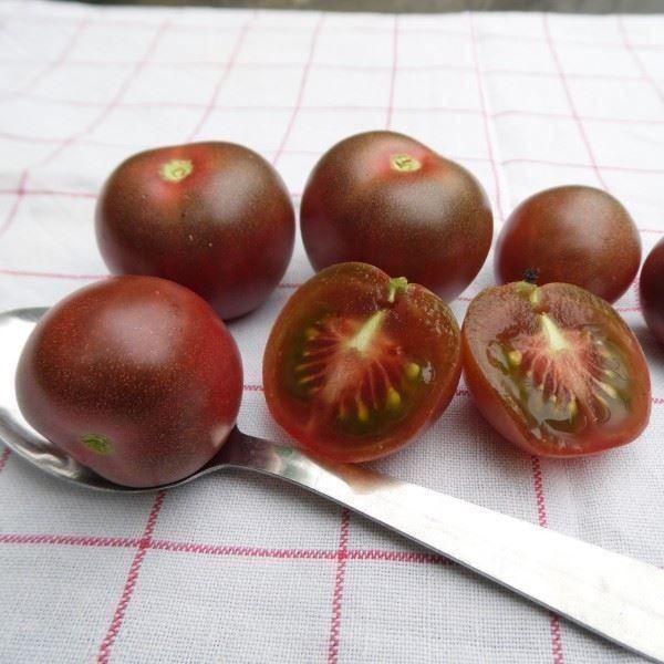 Plantes & graines: Tomate cerise chocolat   RARE  10g – Neuf (Voir description) à Bremblens par FIBONACCI369 1