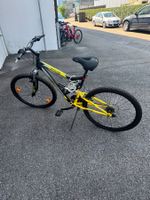 Gecko Mountain Bike