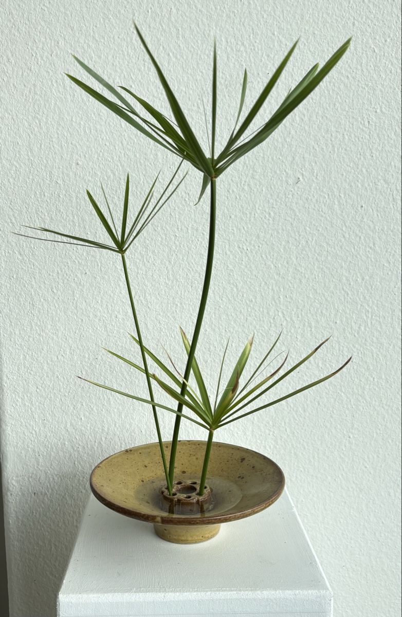 Vase & Récipients: Pique-fleur en céramique Taizé – D'occasion à Neuchâtel par rainette009