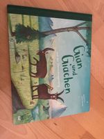 Kinderbuch Gian und Giachen Sternschnuppenberg neuwertig