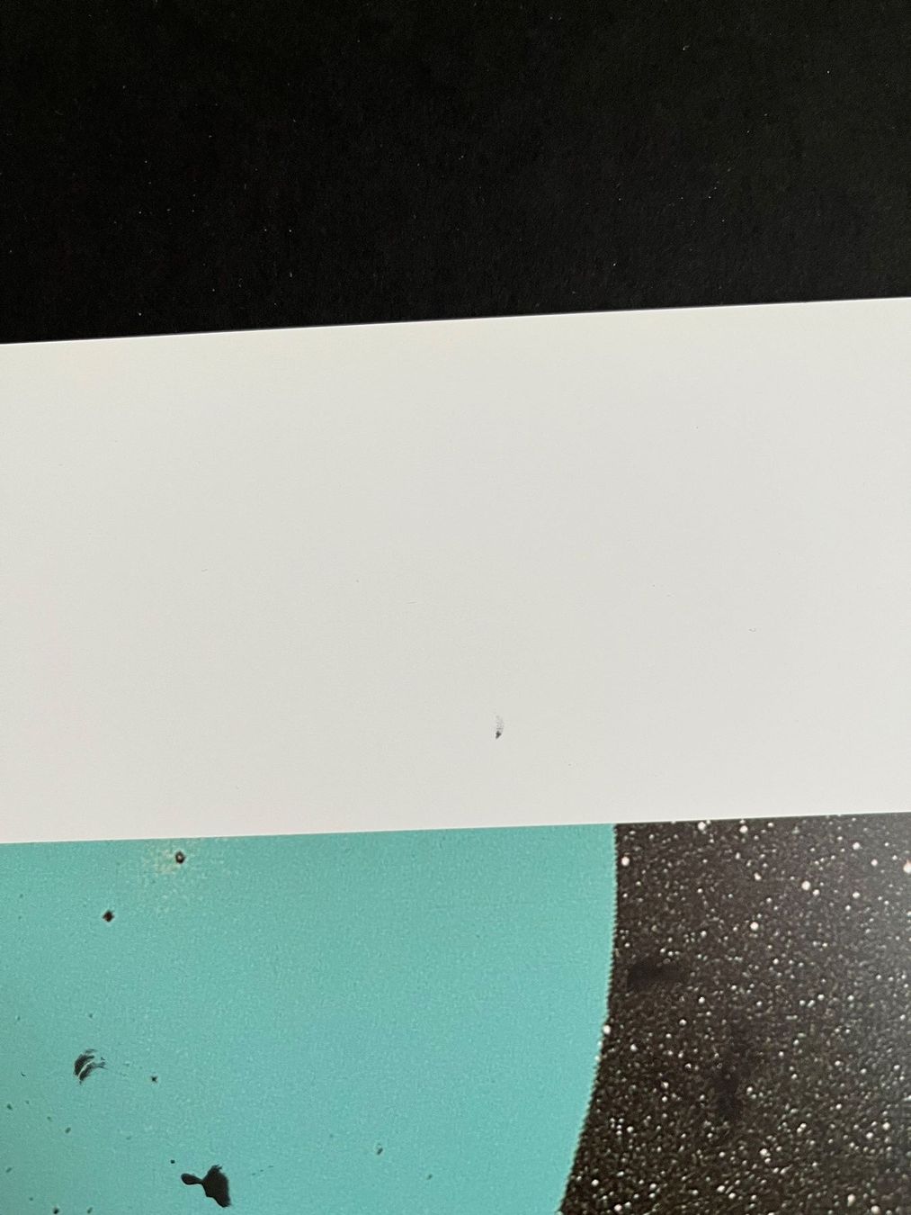 Grafica & Litografie: Andy Warhol, Diamond Dust Shoes Offsetlithographie, te Neues – Usato da Wettingen venduto da Bonanza69 5