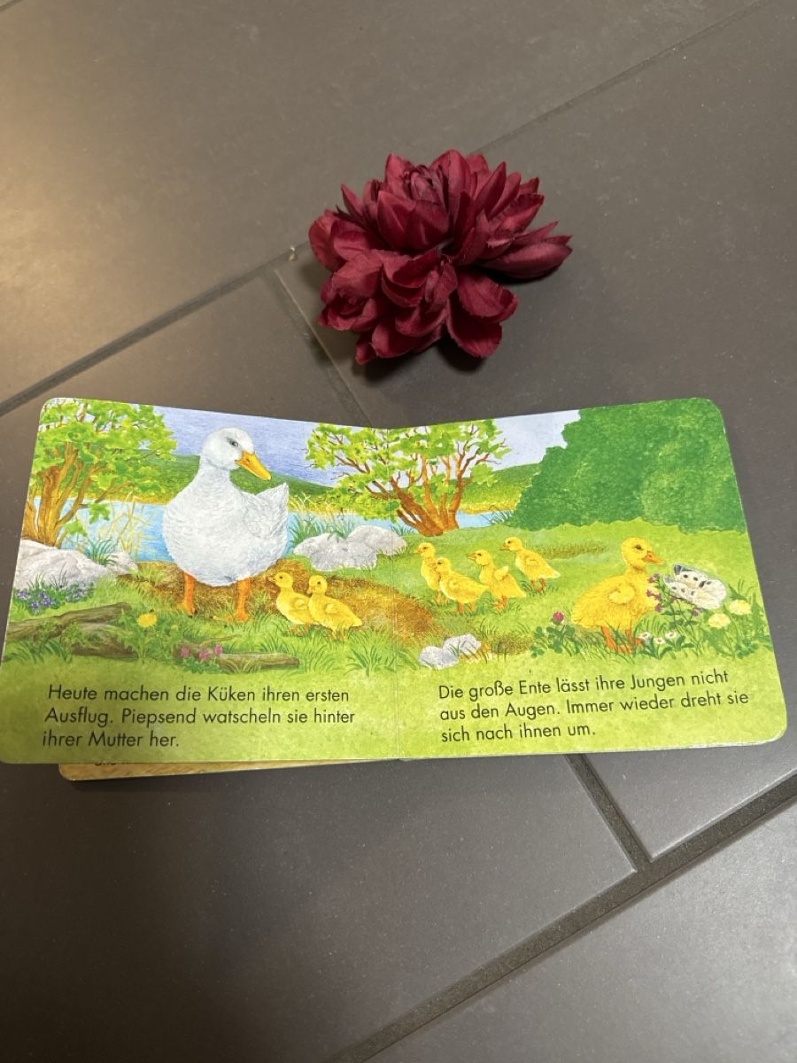 Libri: Kosmos Kinderbuch Das kleine Küken – Usato da Zürich venduto da Belisimo 3