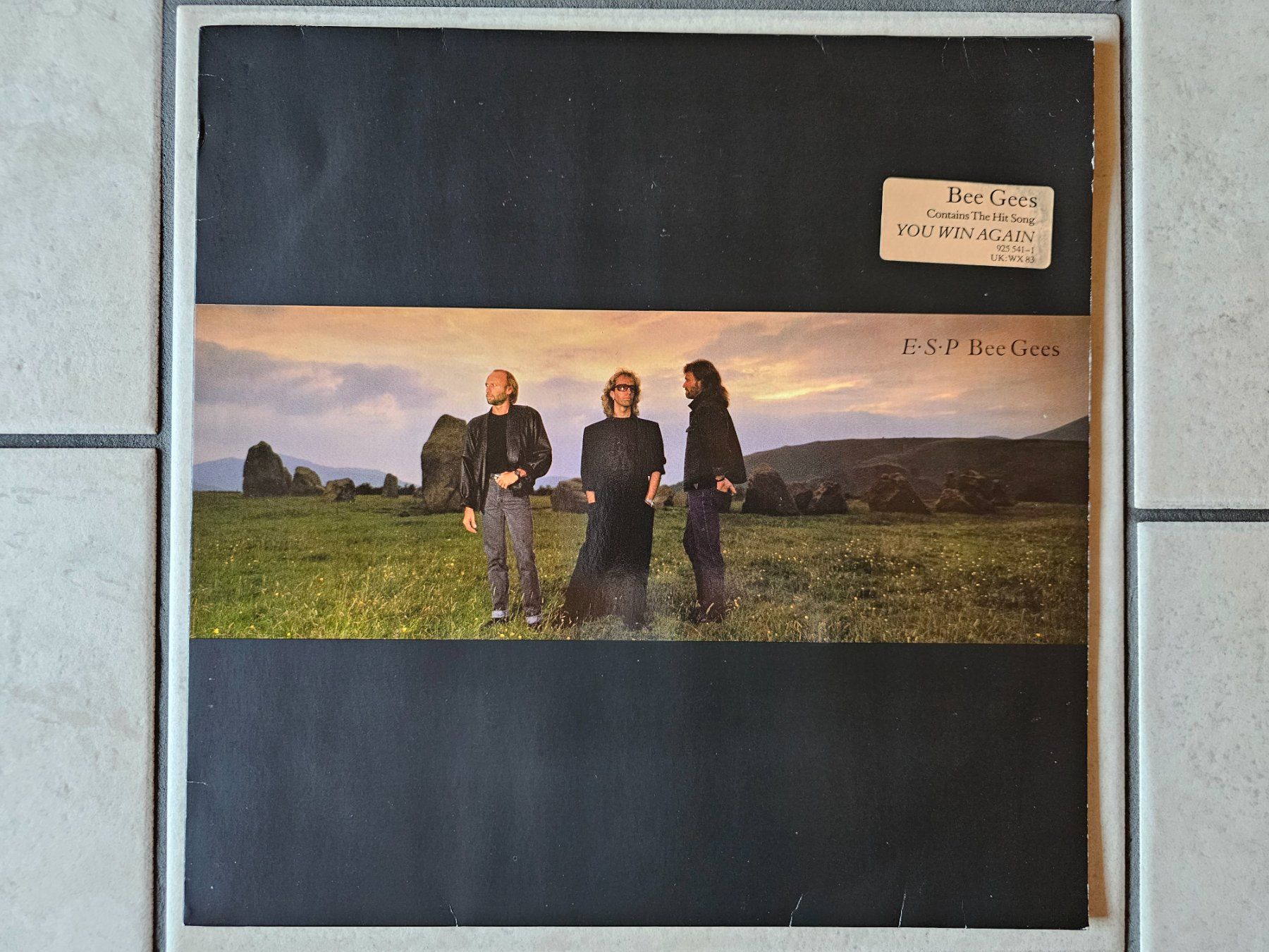 Dischi in vinile: Bee Gees  -  ESP Bee Gees  /  LP – Usato da Schneisingen venduto da backstore24