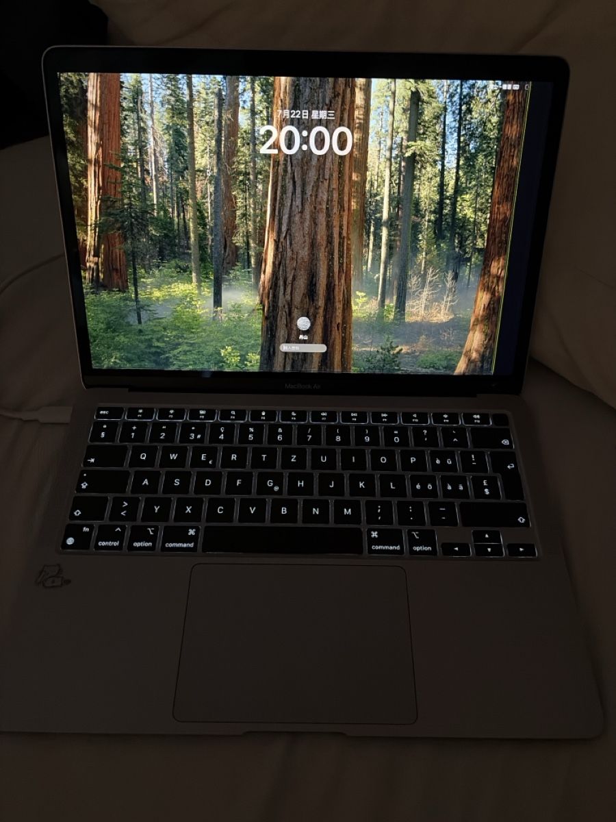 Apple Notebooks: MacBook Air M1 256gb – Defekt aus Biasca von danshankoukis 2