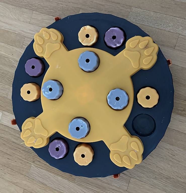 Giochi: Denkspiele Hund – Usato da Zofingen venduto da Zysset_M 2