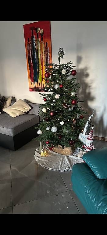 Alle Dekorationen: Albero di Natale 120 – Gebraucht aus Iragna von gio_w9sd 1