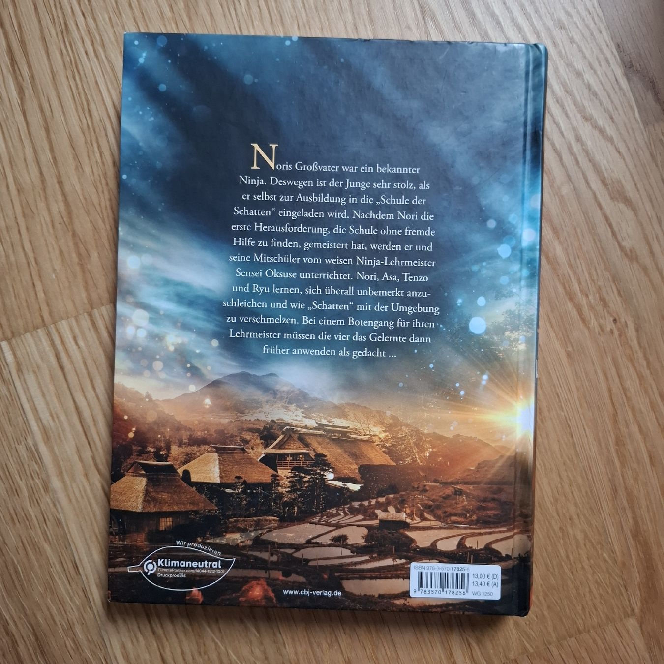 Libri: Buch Schule der Schatten – Nuovo (secondo la descrizione) da St. Gallen venduto da emi_nfh9 1