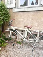 Egomovement Evelo E-Bike – zu verkaufen