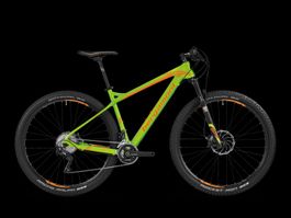 Mountainbike Bergamont Revox grün 29 Zoll gebraucht