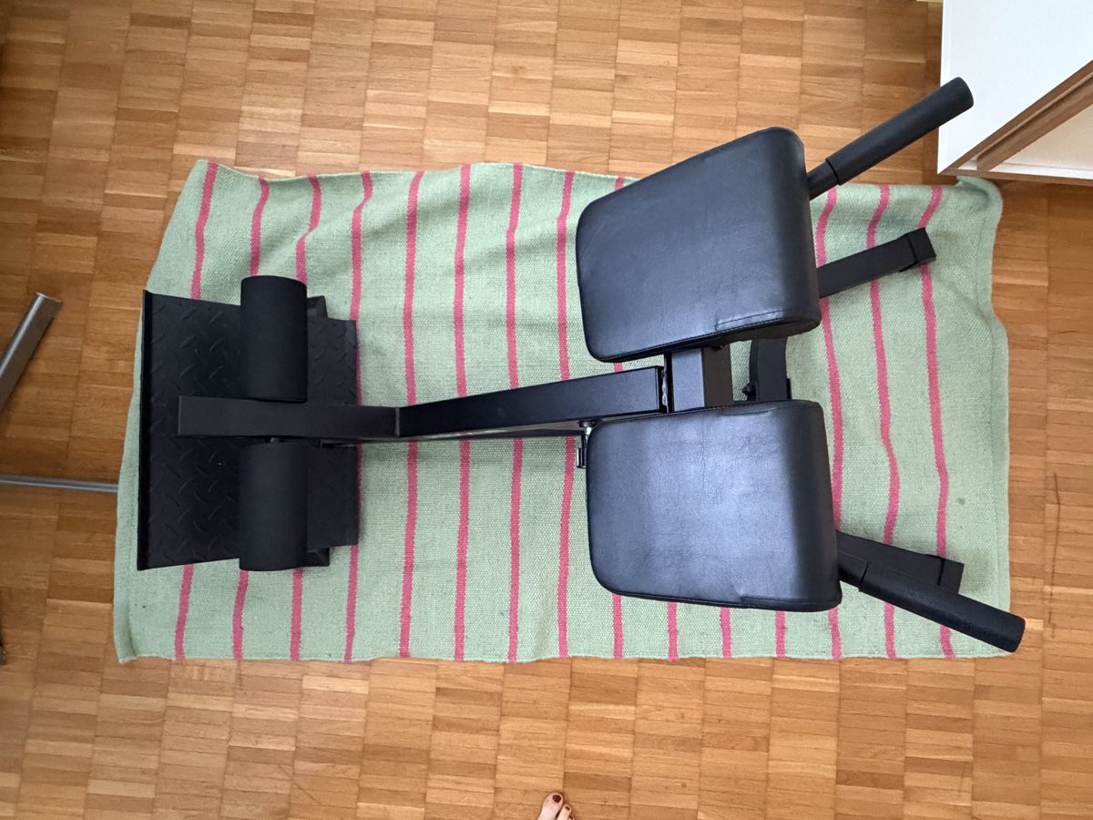 Hometrainer: Rückentrainer Maxxus  – Usato da Luzern venduto da w_mueller 1