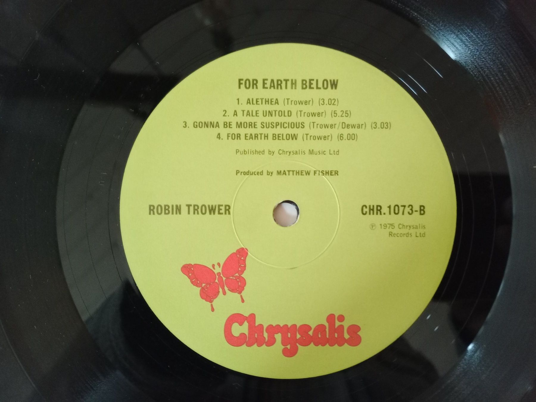 Dischi in vinile: Robin Trower - For Earth Below - Vinyl, Schallplatte – Usato da Waldenburg venduto da STICKER_KING 5