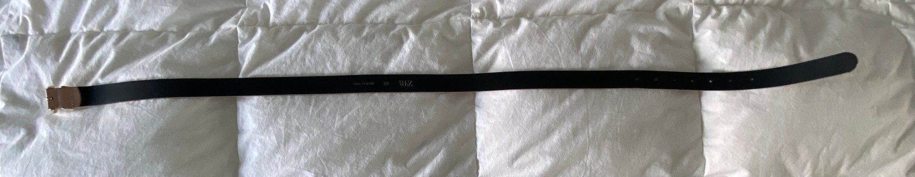 Zara Cinture: Gürtel von Zara – Usato da Kaiseraugst venduto da ddd___ 5