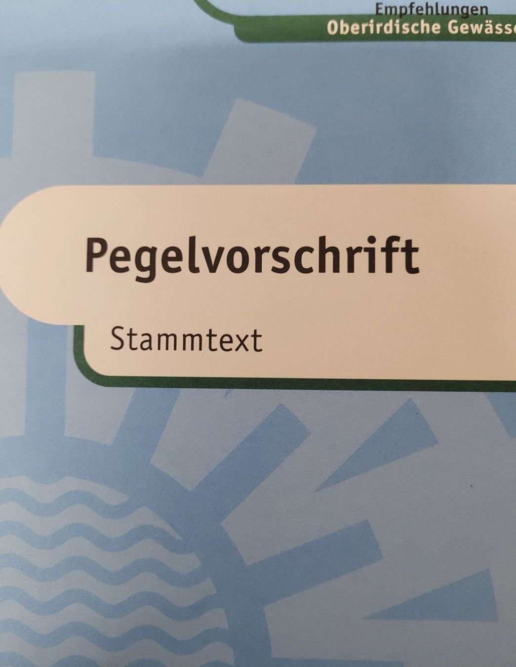 Libri: Pegelvoschrift – Usato da Holziken venduto da Kuhhei