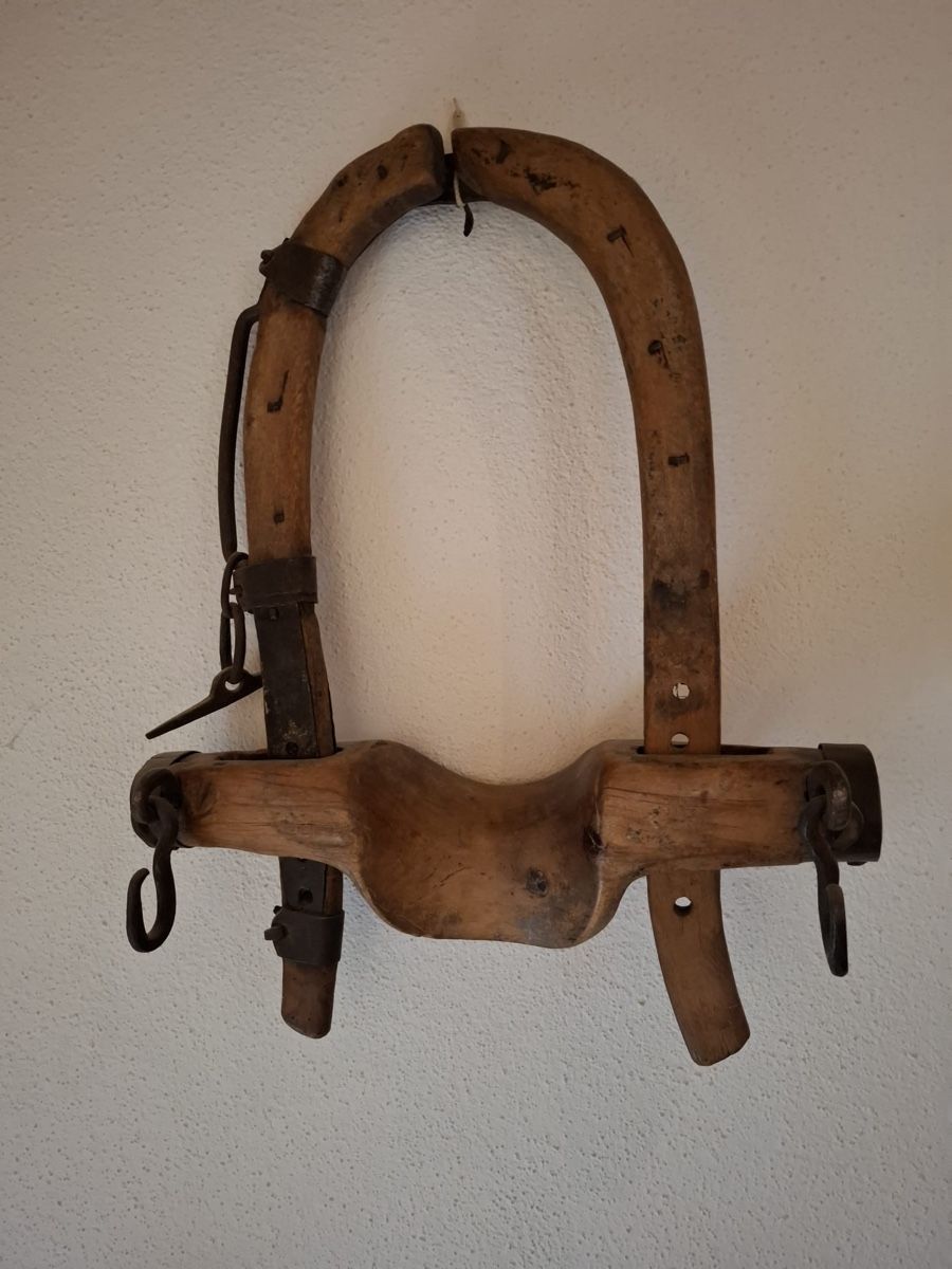 Briglie & Cavezze: Altes Halfter/ Kummet  – Usato da Wettingen venduto da Baggi7