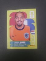 panini NED 18