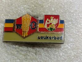 Ansteckpin 107: Leukerbad