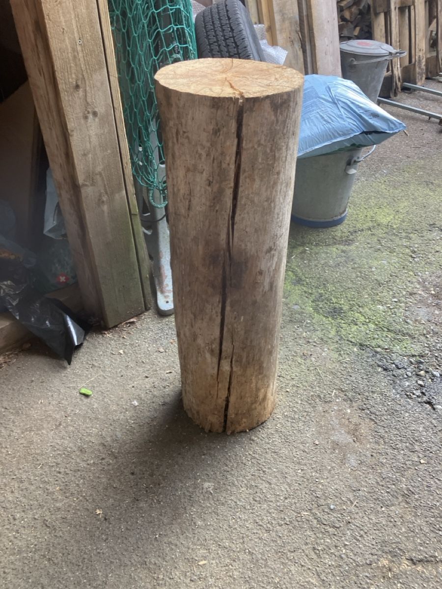 Articoli in legno: Holzstamm tanne – Usato da Burg AG venduto da ala_cx8x 1
