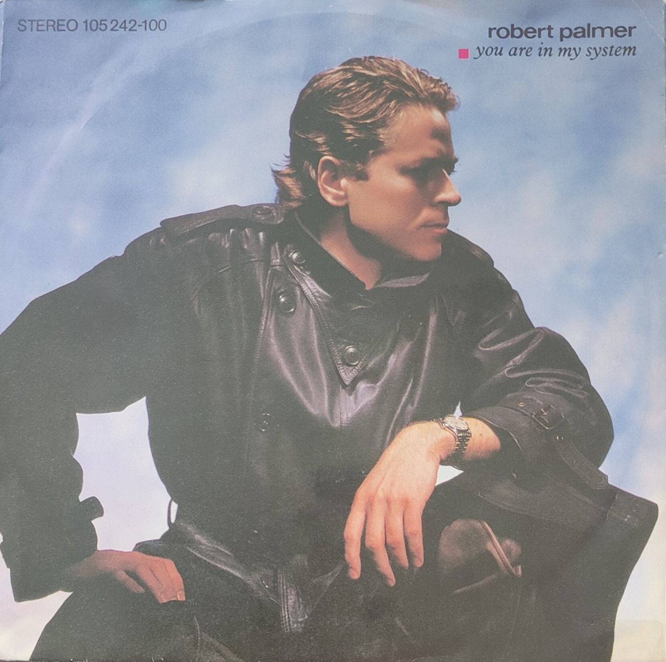 Dischi in vinile: Vinyl-Single Robert Palmer - You Are in My System – Usato da Langenthal venduto da Modo39
