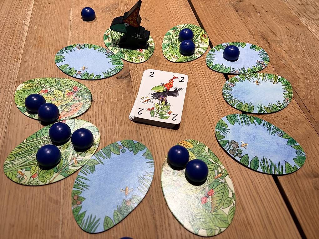 Giochi: Spiel Beeren klau'n – Usato da Buochs venduto da Sandrawy 1