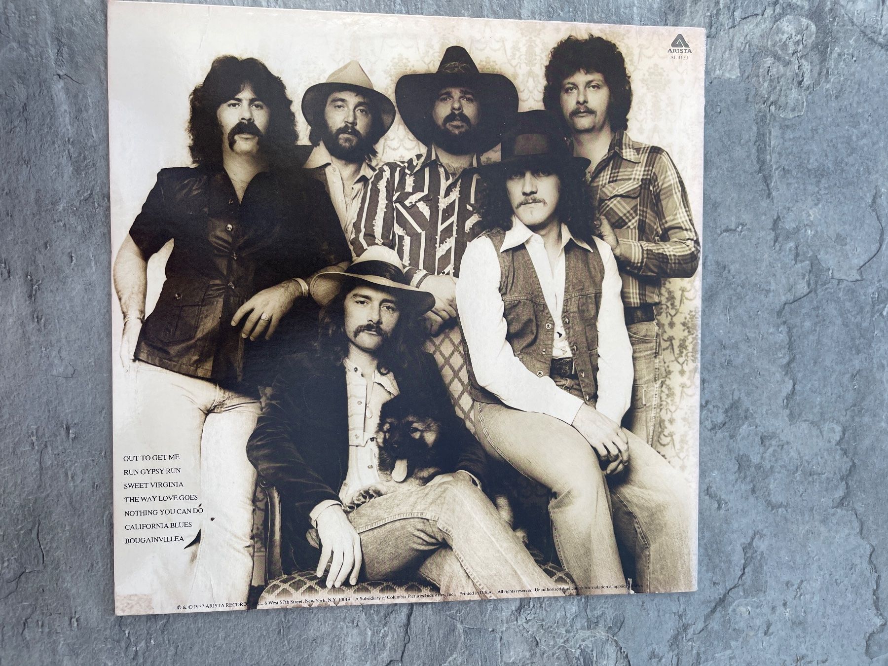Dischi in vinile: A461/Dickey Betts & Great Southern – Usato da Frutigen venduto da Philippe_jsp 1