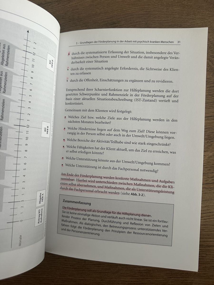 Libri: ICF-basierte Förderplanung  - Fachbuch! – Usato da Schwarzhäusern venduto da alenaner 2