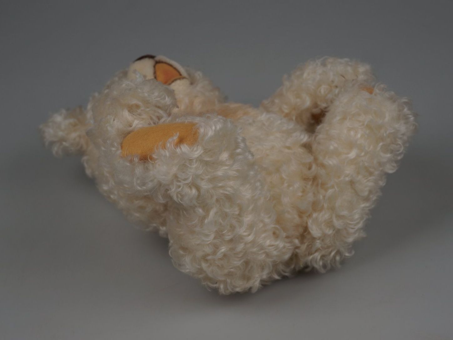 Steiff Giocattoli: Steiff - Zotty Teddybär 11" – Usato da Rüti ZH venduto da Restwert_Rueti_ZH 2