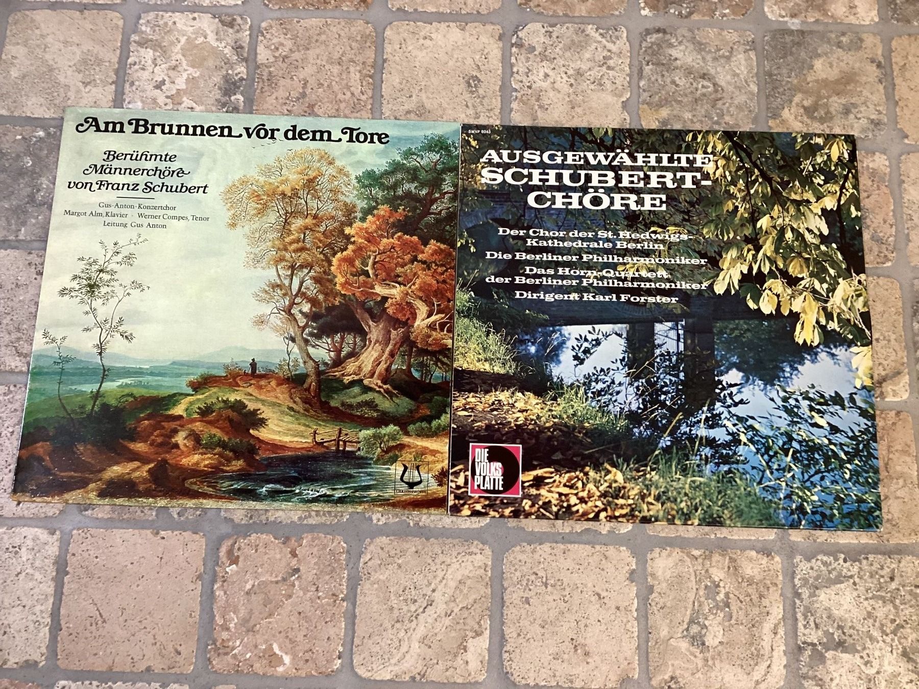 Dischi in vinile: F. Schubert, 2 Schallpl. mit Chormusik – Usato da Mörschwil venduto da Monzar