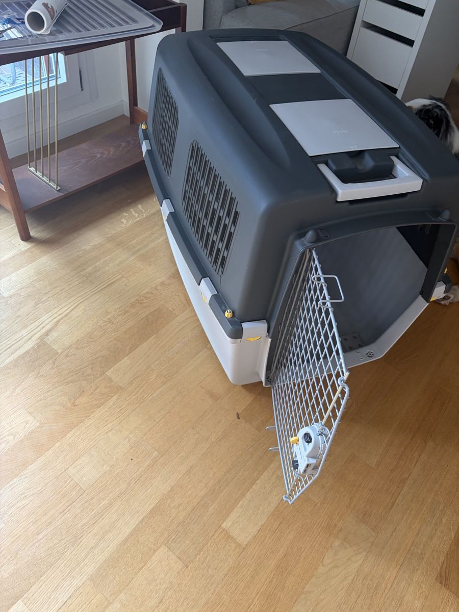 Trixie Käfige, Transport & Sicherheit: Trixie Hund Transportbox – Gebraucht aus NIEDERGLATT von nna_w7xd 1