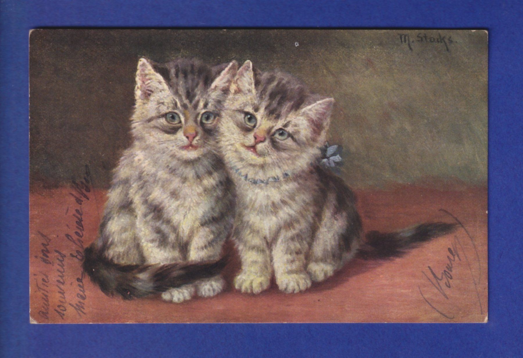 Ansichtskarten: CHAT - Chatons - M. Stocks – Gebraucht aus Pully von nicecards-shop