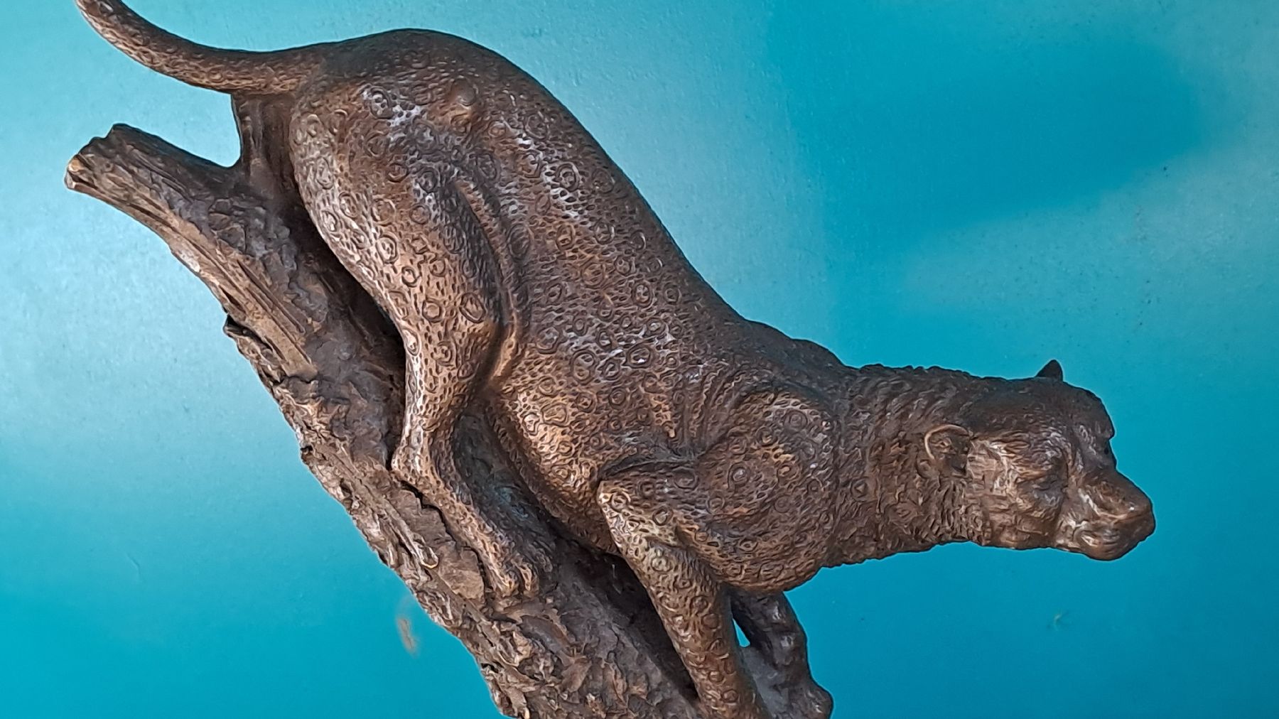 Sculture & Statue: SCHÖNE BARYE BRONZE RAUBKATZE – Usato da schönholzerswilen venduto da Vistapoint 1