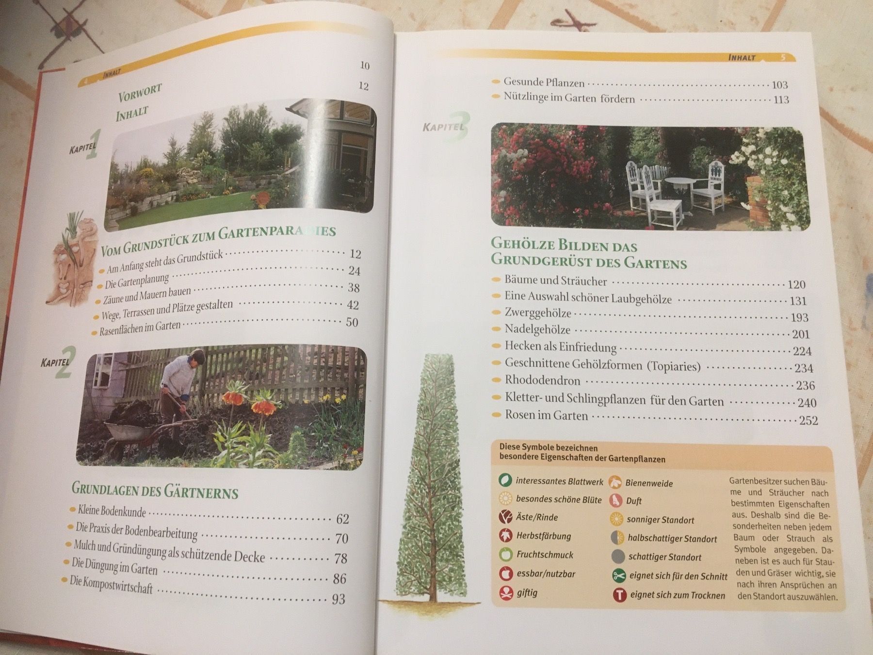 Libri: Garten Buch – Nuovo (secondo la descrizione) da Schaffhausen venduto da ann_g6tx 1