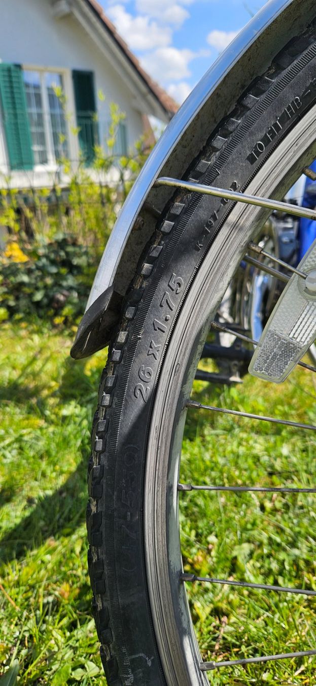 Velos: Mädchenfahrrad – Gebraucht aus Aristau von RudolfDeer 1