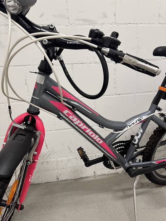 Biciclette: Capriolo Diavolo 400 – Usato da Staufen venduto da dus_spd7 4