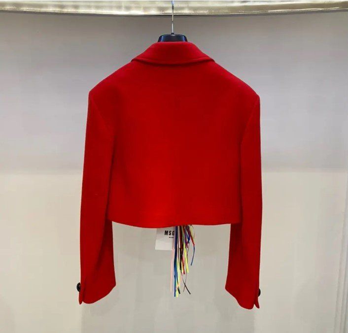 MSGM Giacche: NEU und ungetragen: MSGM Blazer "Giacca" - 40 – Nuovo e nell'imballaggio originale da Zollikerberg venduto da nic999 1