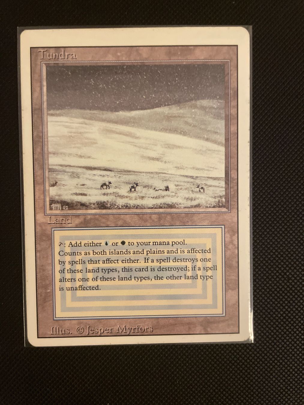 Magic The Gathering Carte collezionabili: Tundra Magic The Gathering Revised Englisch – Usato da Frauenfeld venduto da man_2r6n